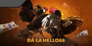 Đá Gà Hello88 - Điểm Đến Lý Tưởng cho Các “Thần Kê”